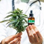 Les vertus thérapeutiques du CBD